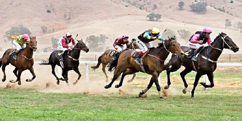 Luật chơi Đua ngựa King52