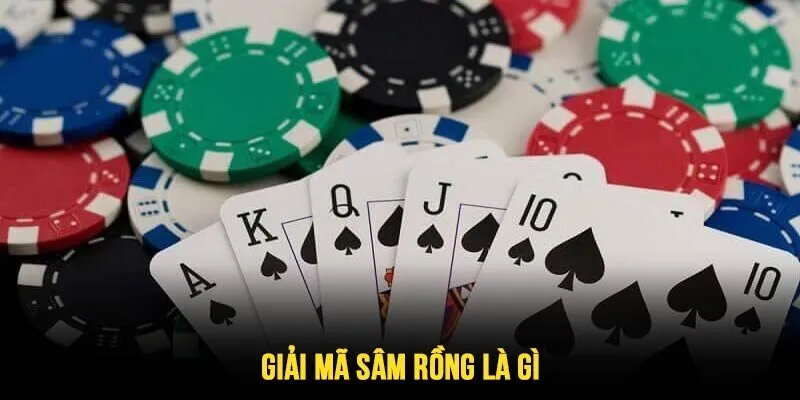 “Sâm Rồng là gì” đã được giải mã