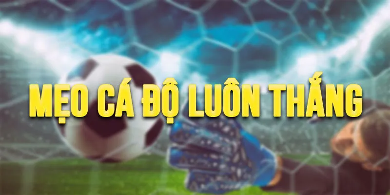 mẹo cá độ luôn thắng